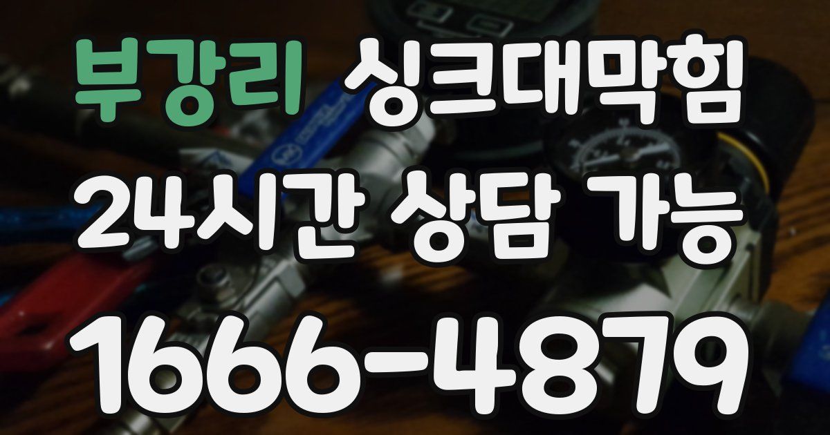 부강리 싱크대 뚫기