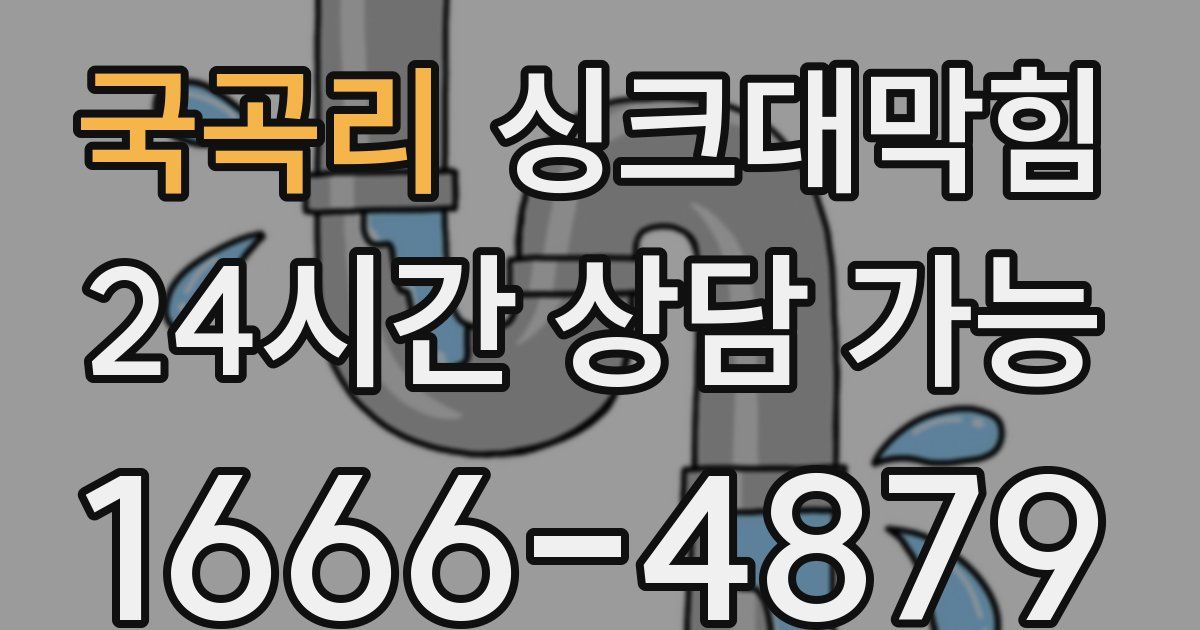 국곡리 싱크대 뚫기