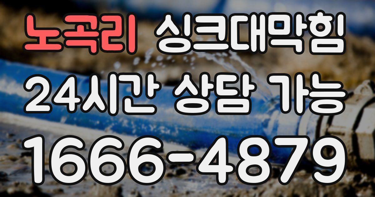 노곡리 싱크대 뚫기
