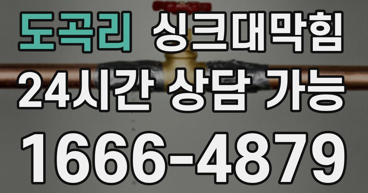 도곡리 싱크대 뚫기