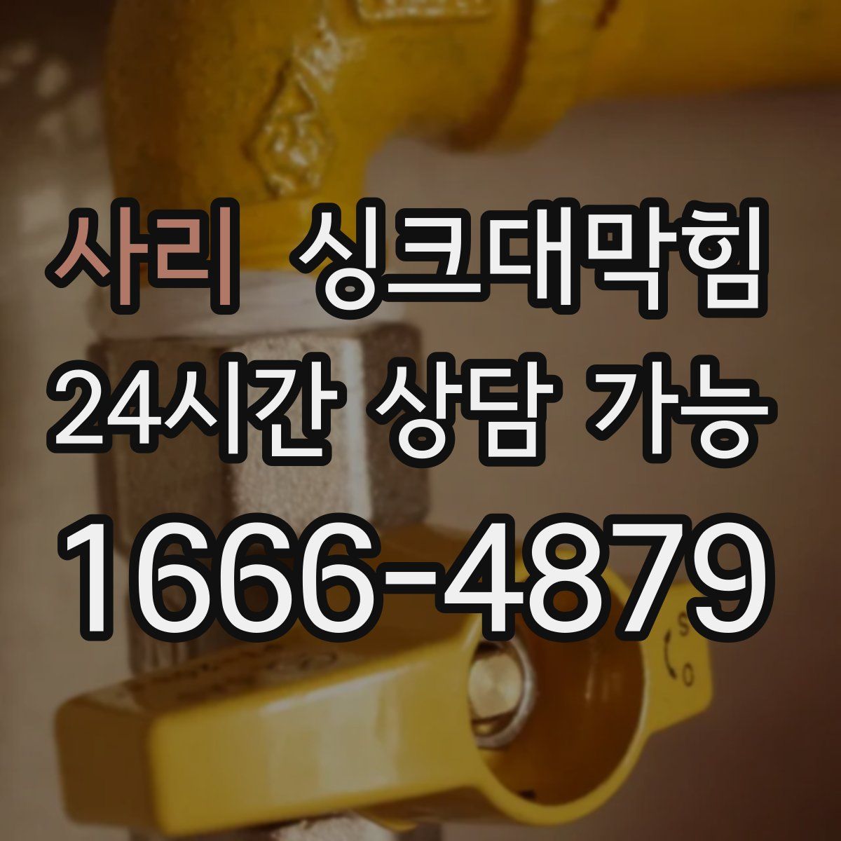 사리 싱크대막힘