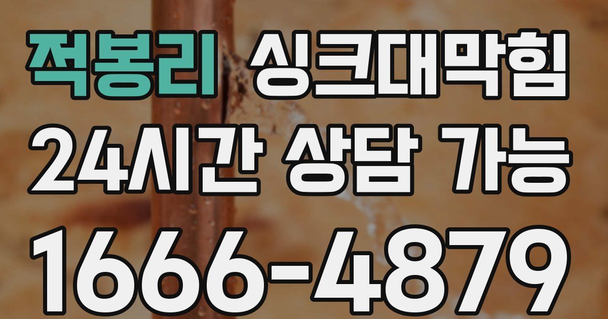 적봉리 싱크대 뚫기