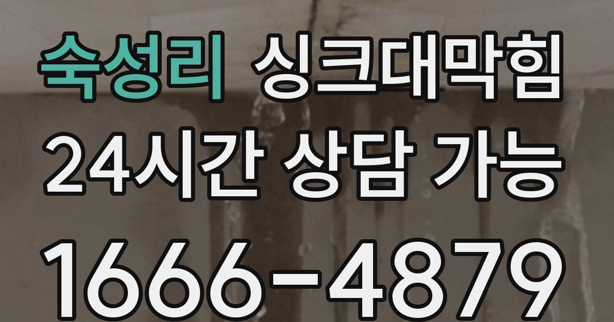 숙성리 싱크대 뚫기