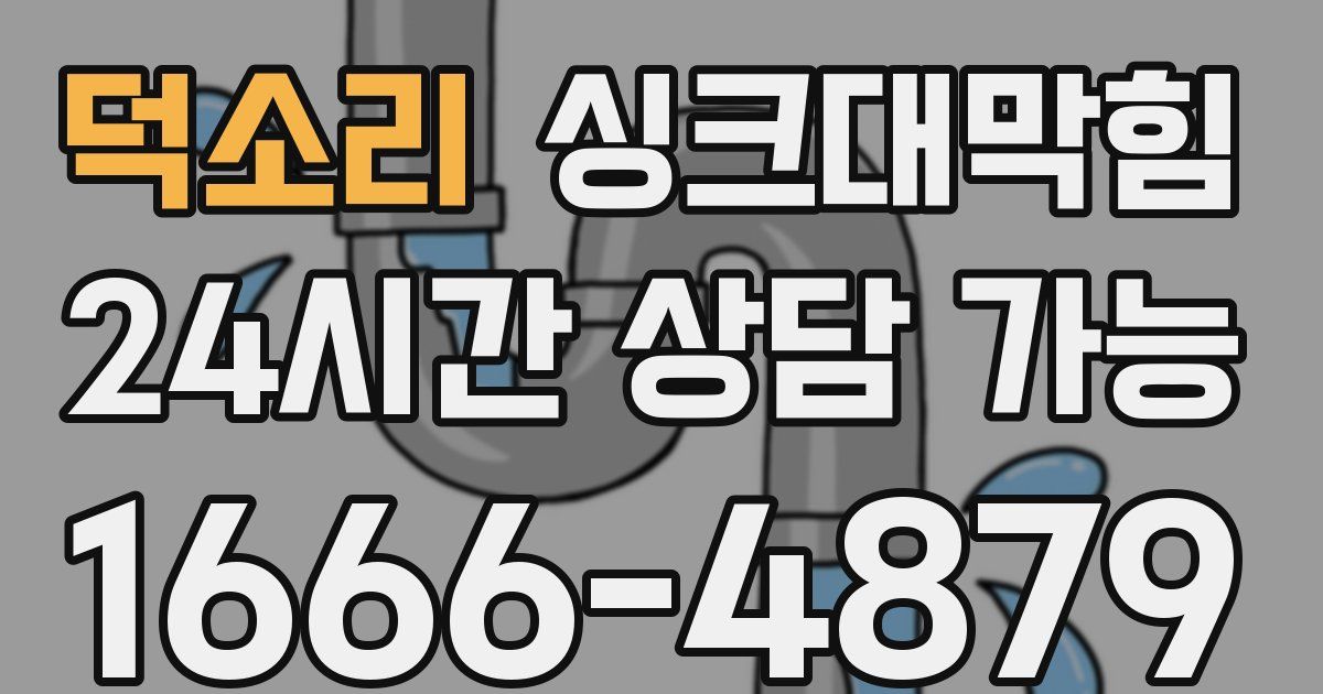 덕소리 싱크대 뚫기