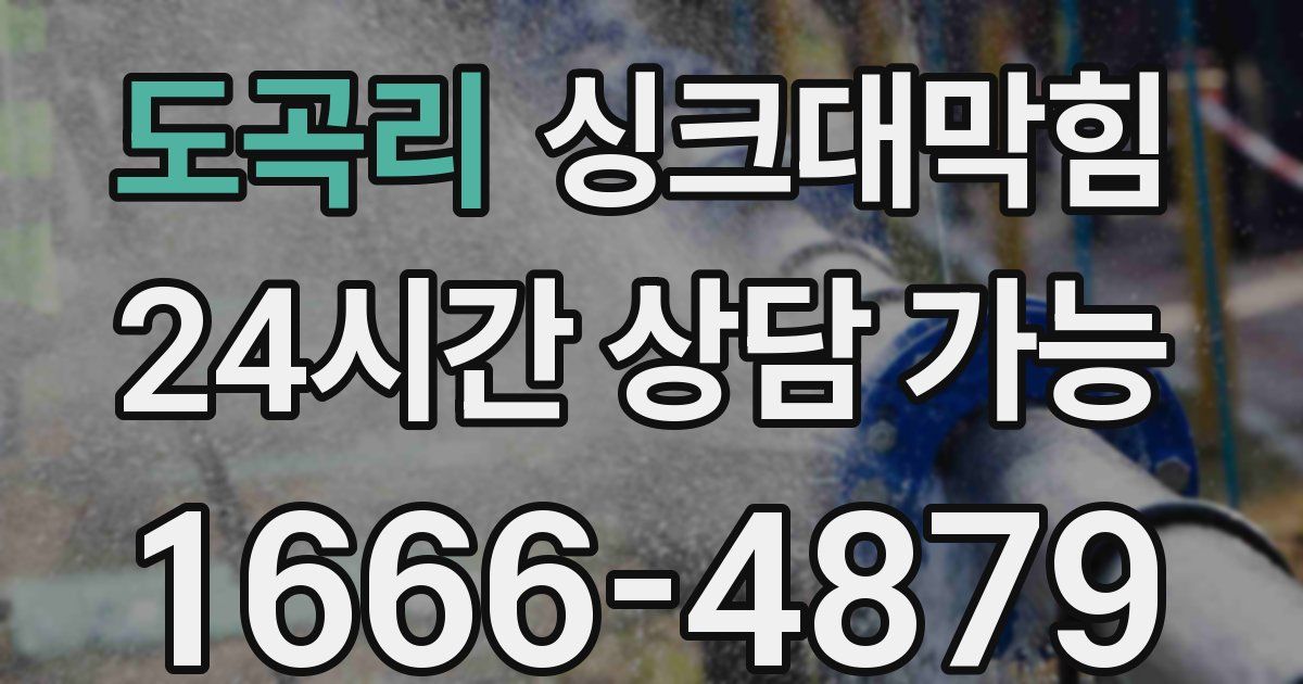 도곡리 싱크대 뚫기