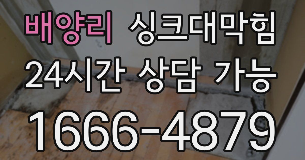 배양리 싱크대 뚫기