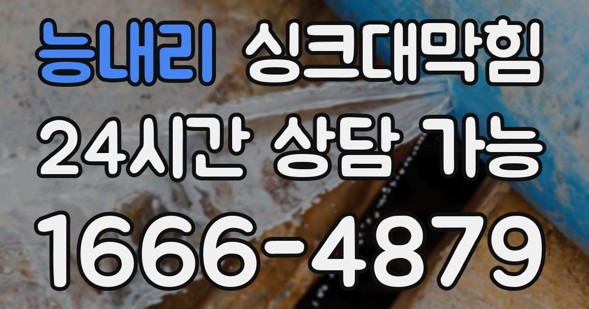 능내리 싱크대 뚫기