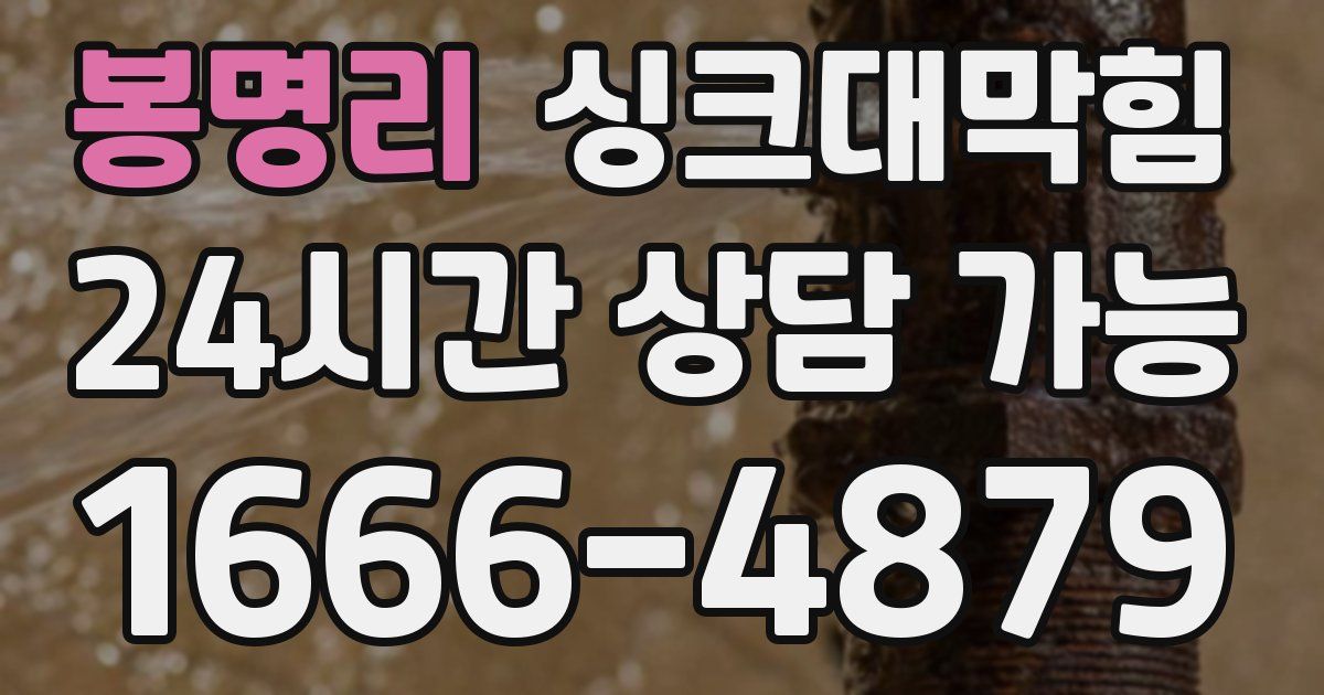 봉명리 싱크대 뚫기