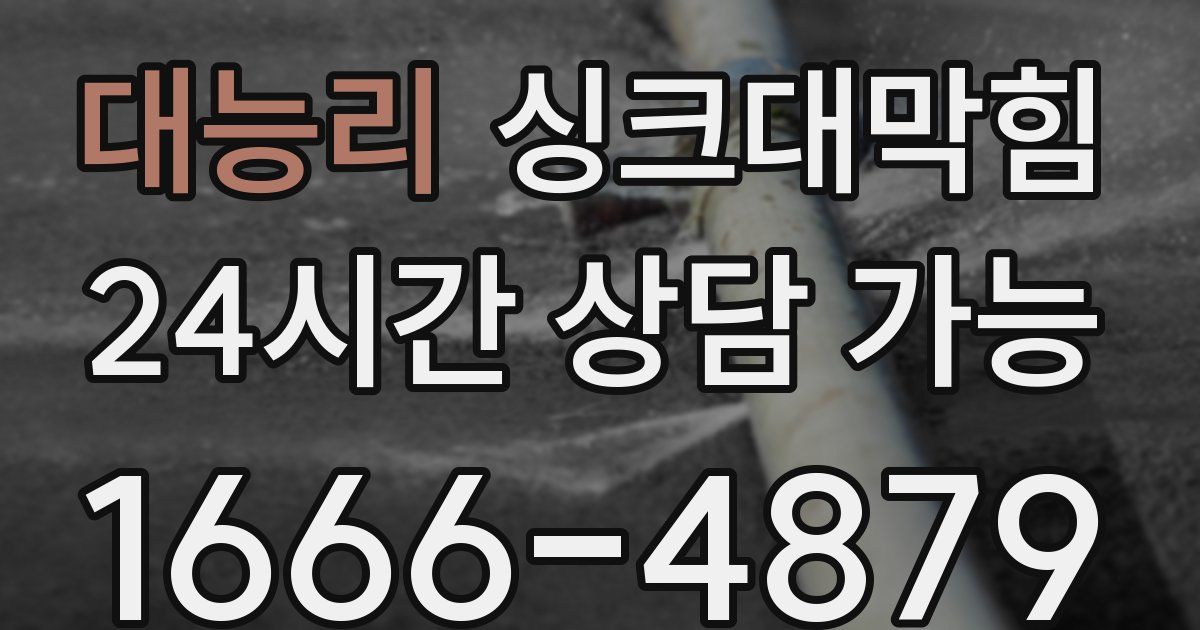 대능리 싱크대 뚫기