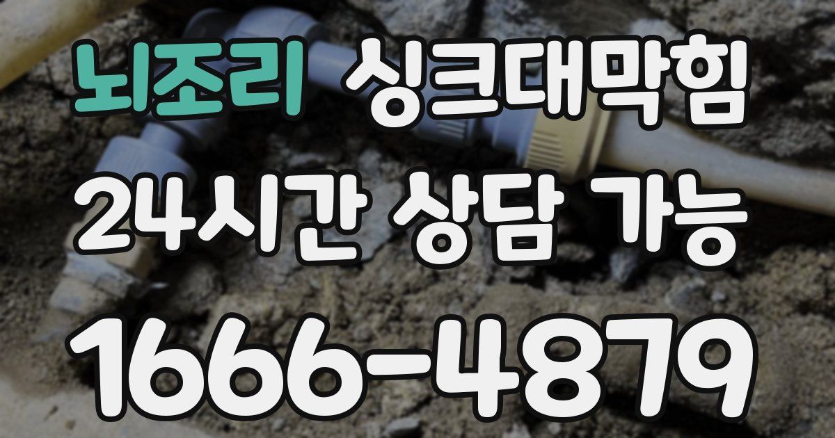 뇌조리 싱크대 뚫기