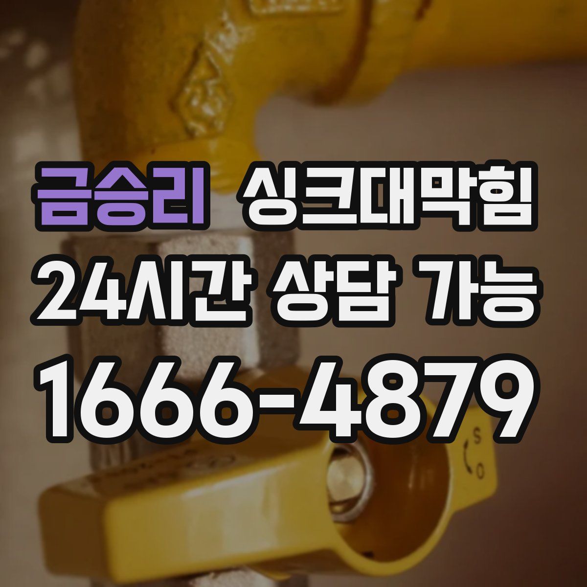 금승리 싱크대막힘