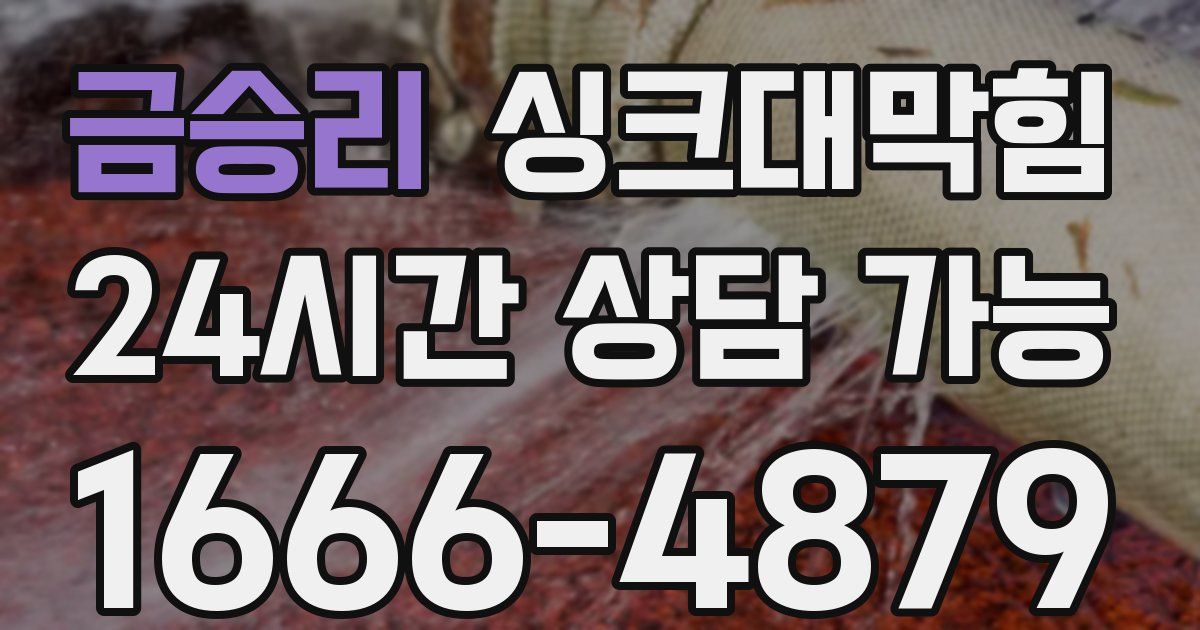 금승리 싱크대 뚫기