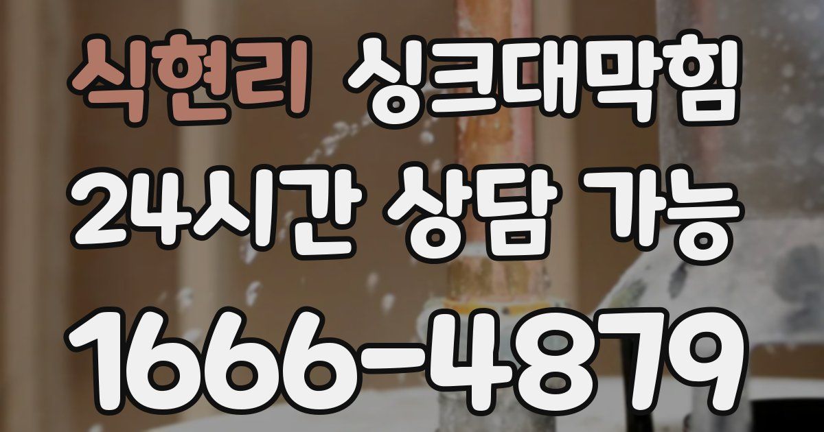 식현리 싱크대 뚫기