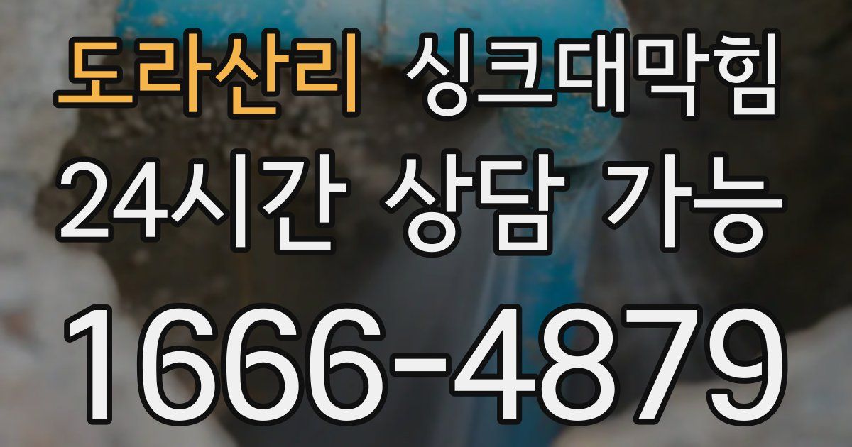 도라산리 싱크대 뚫기