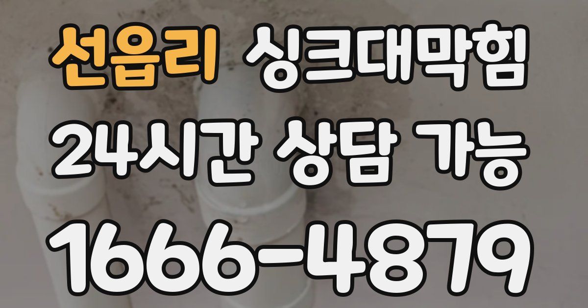 선읍리 싱크대 뚫기