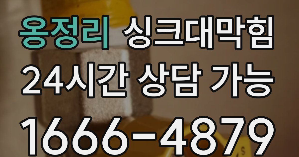 옹정리 싱크대 뚫기