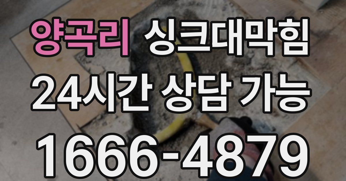 양곡리 싱크대 뚫기