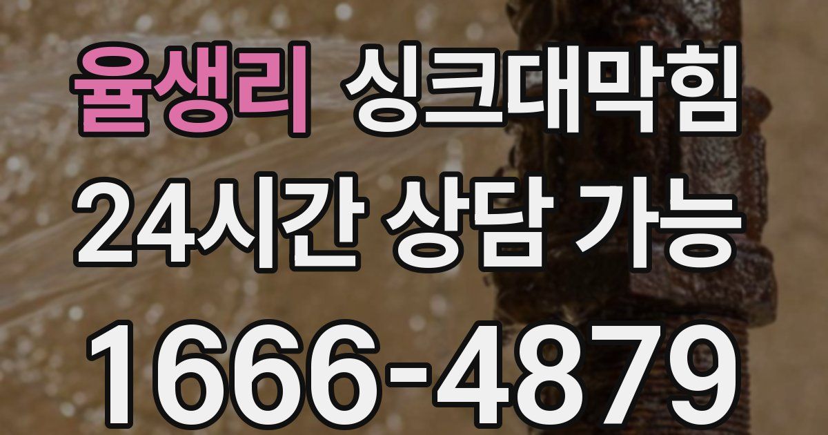 율생리 싱크대 뚫기