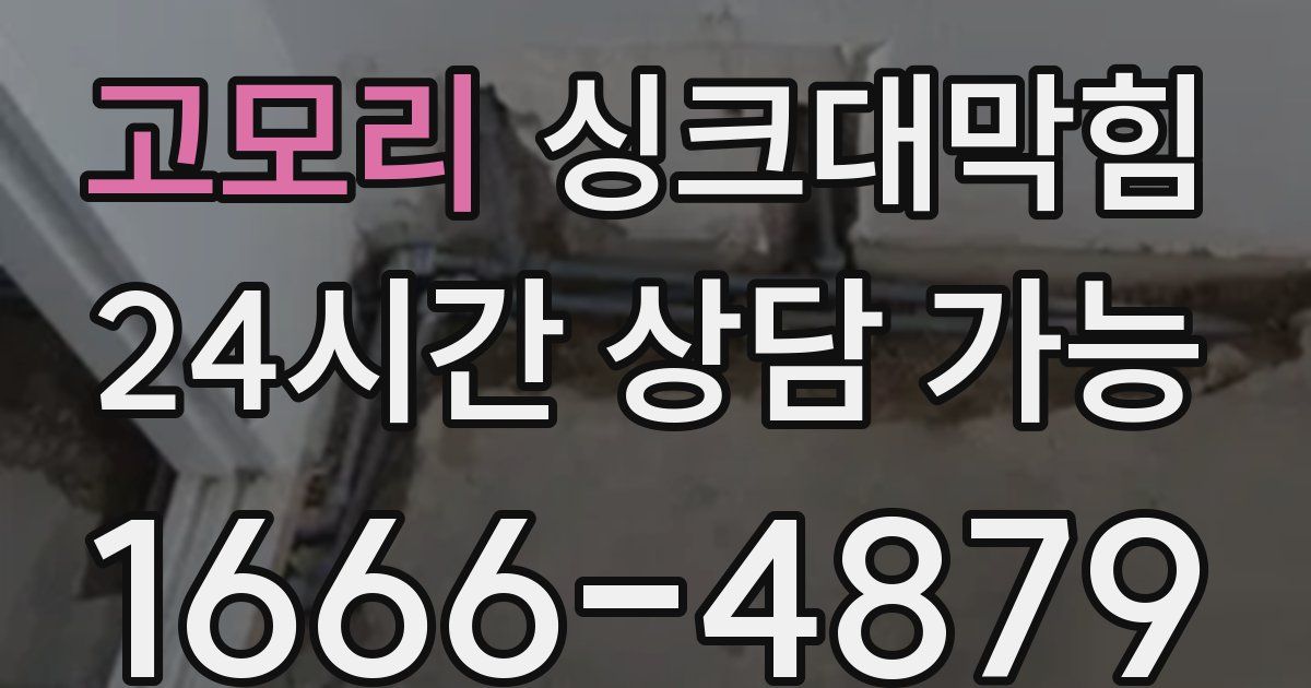 고모리 싱크대 뚫기