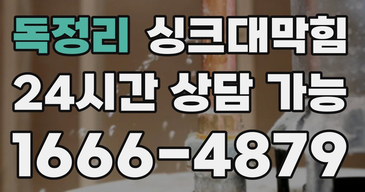 독정리 싱크대 뚫기