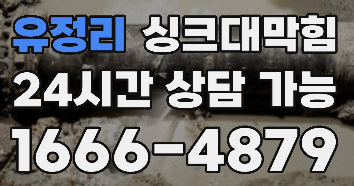 유정리 싱크대 뚫기