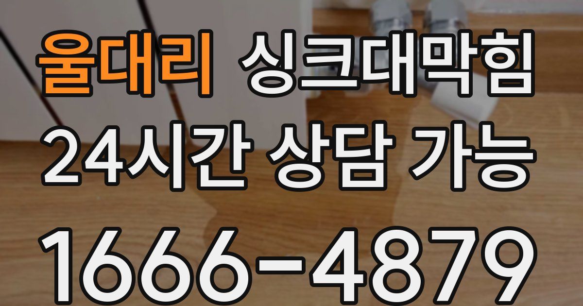 울대리 싱크대 뚫기