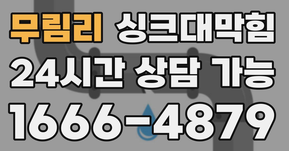 무림리 싱크대 뚫기