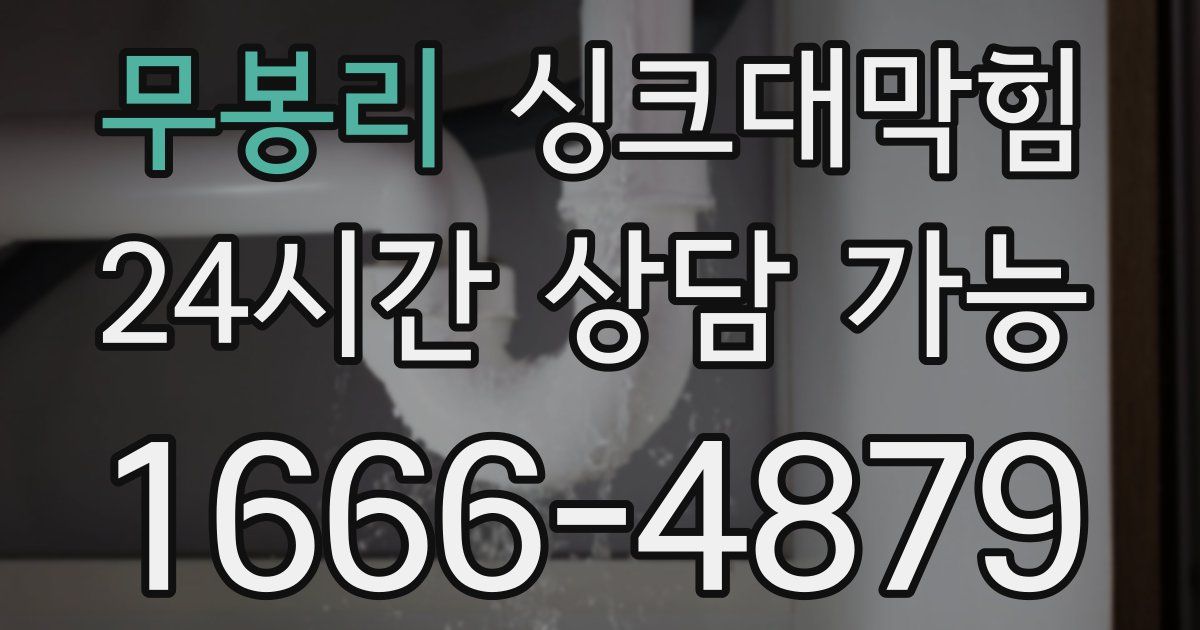 무봉리 싱크대 뚫기