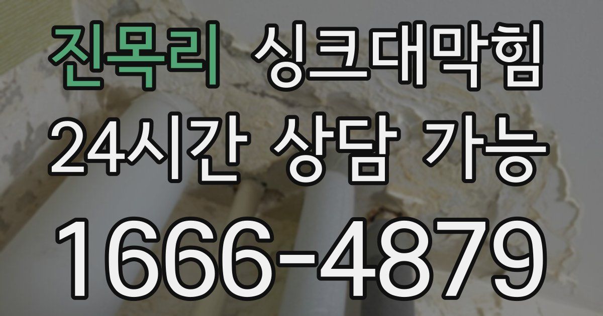 진목리 싱크대 뚫기