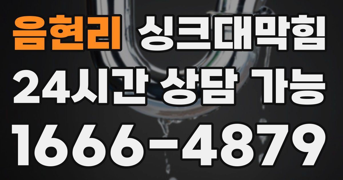 음현리 싱크대 뚫기