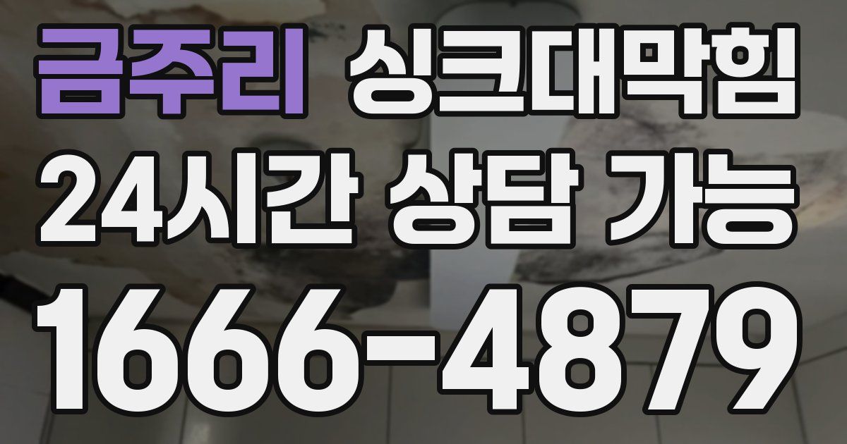 금주리 싱크대 뚫기