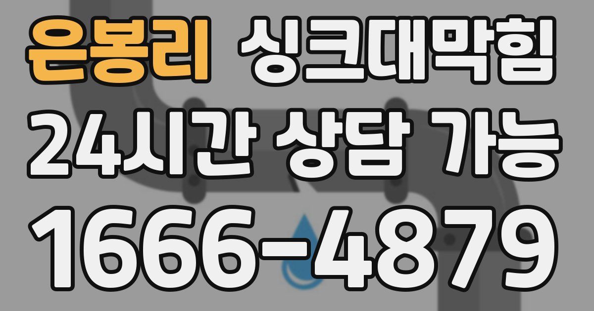 은봉리 싱크대 뚫기