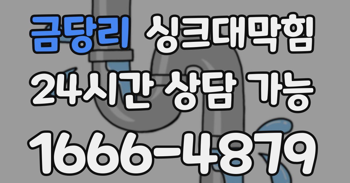 금당리 싱크대 뚫기