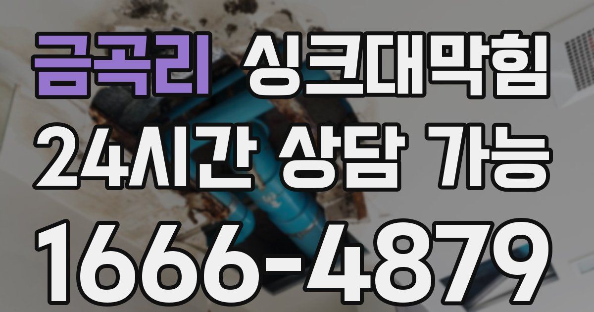 금곡리 싱크대 뚫기