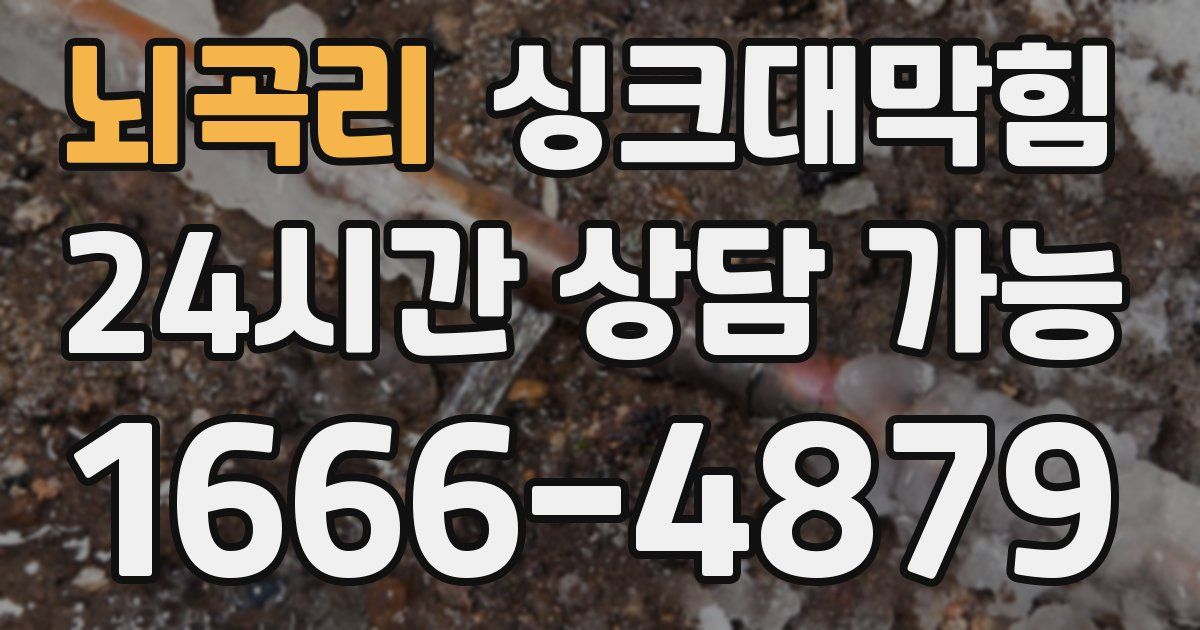뇌곡리 싱크대 뚫기