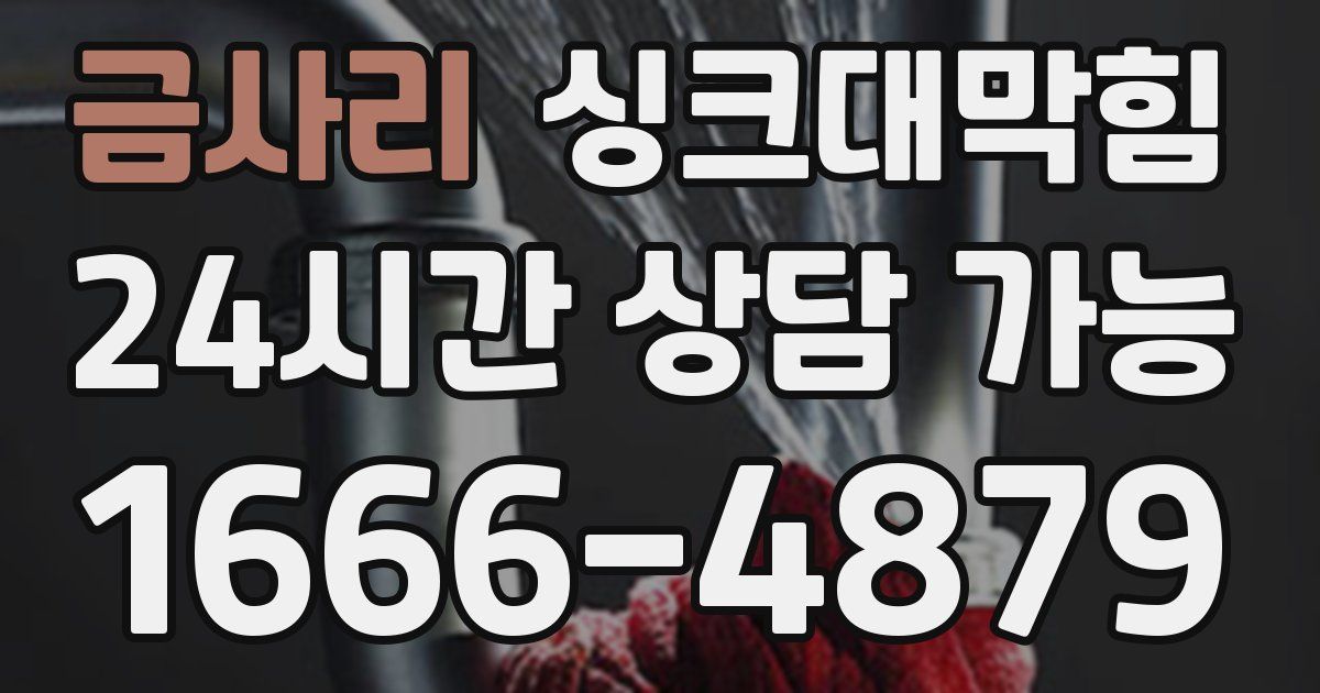 금사리 싱크대 뚫기