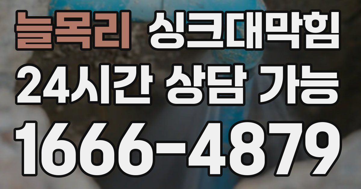 늘목리 싱크대 뚫기
