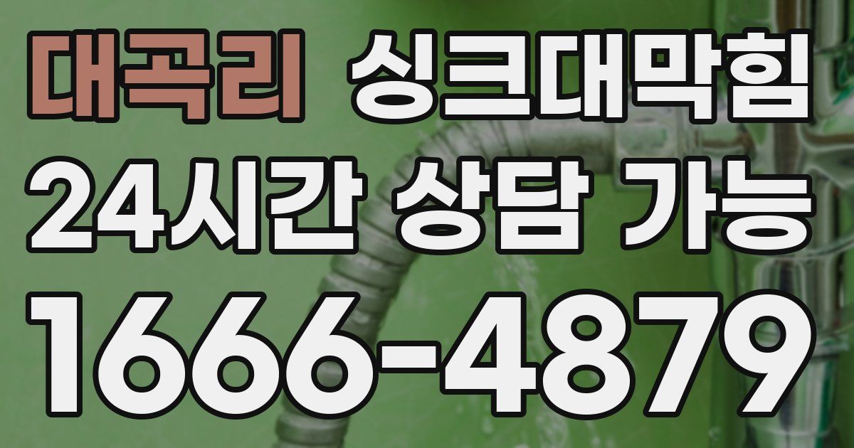 대곡리 싱크대 뚫기