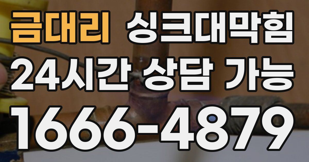 금대리 싱크대 뚫기