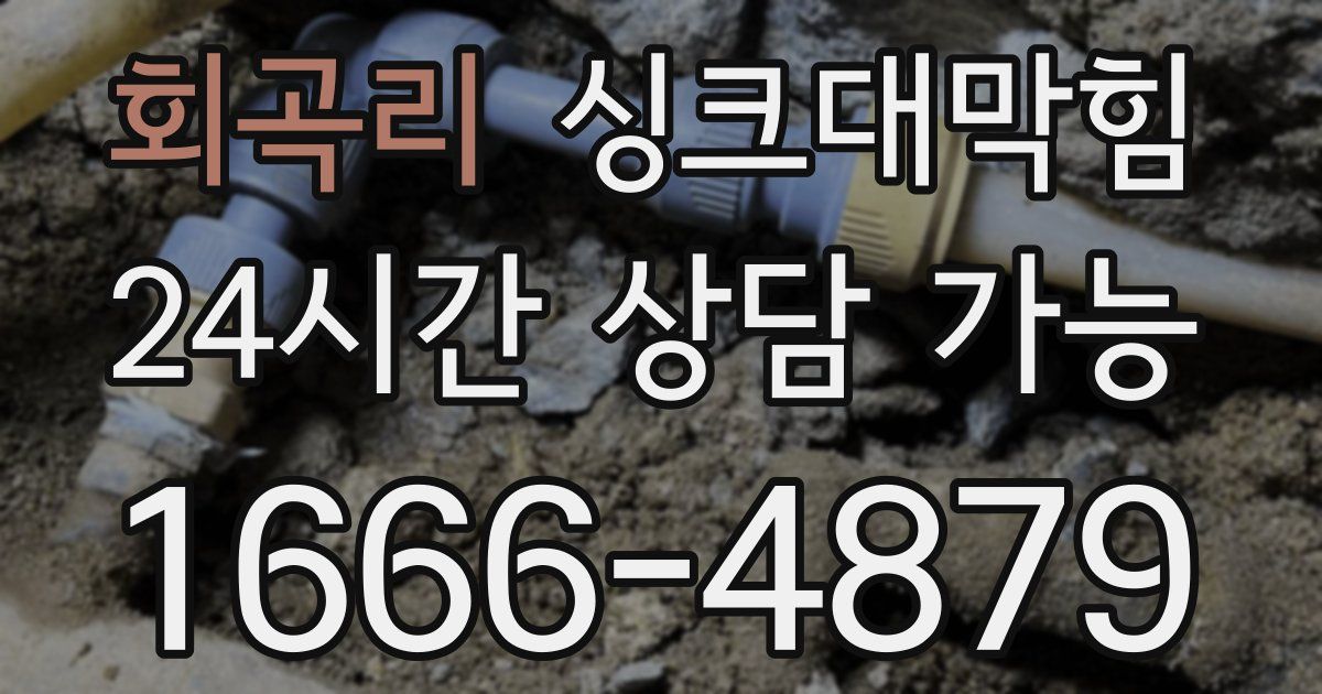 회곡리 싱크대 뚫기
