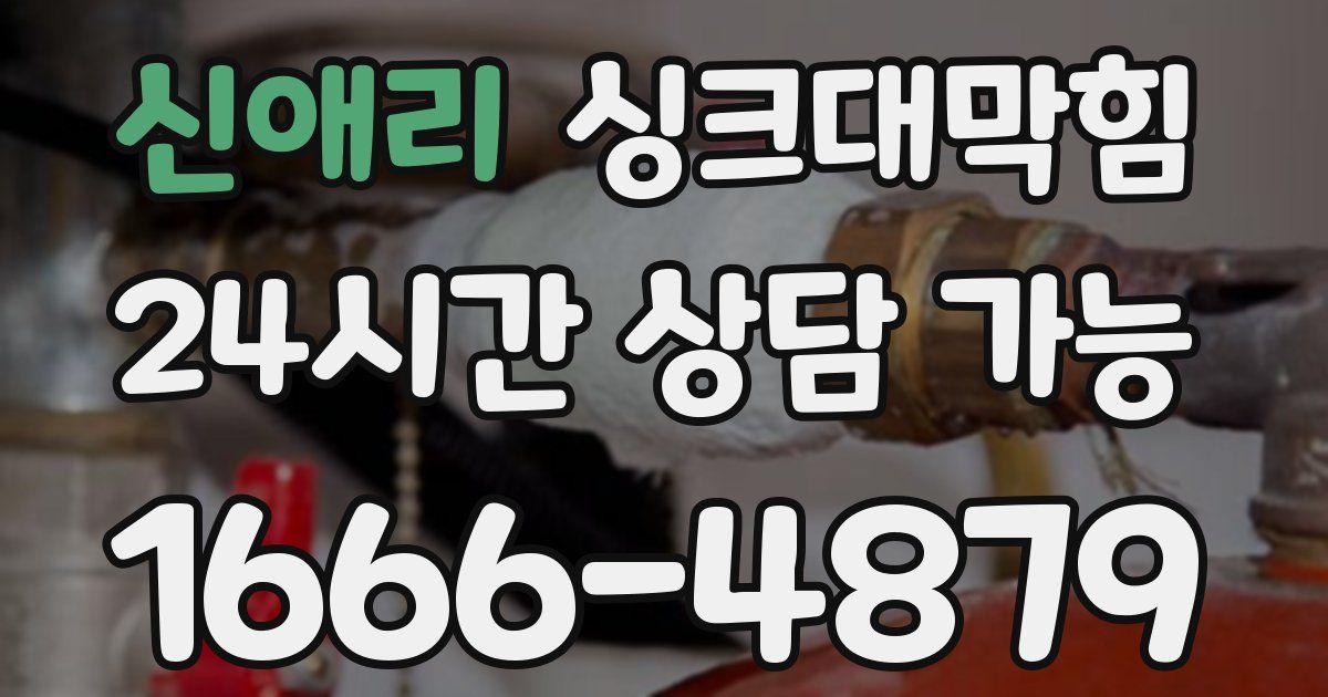 신애리 싱크대 뚫기