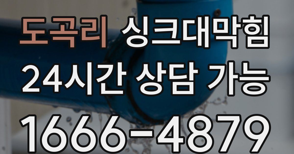 도곡리 싱크대 뚫기