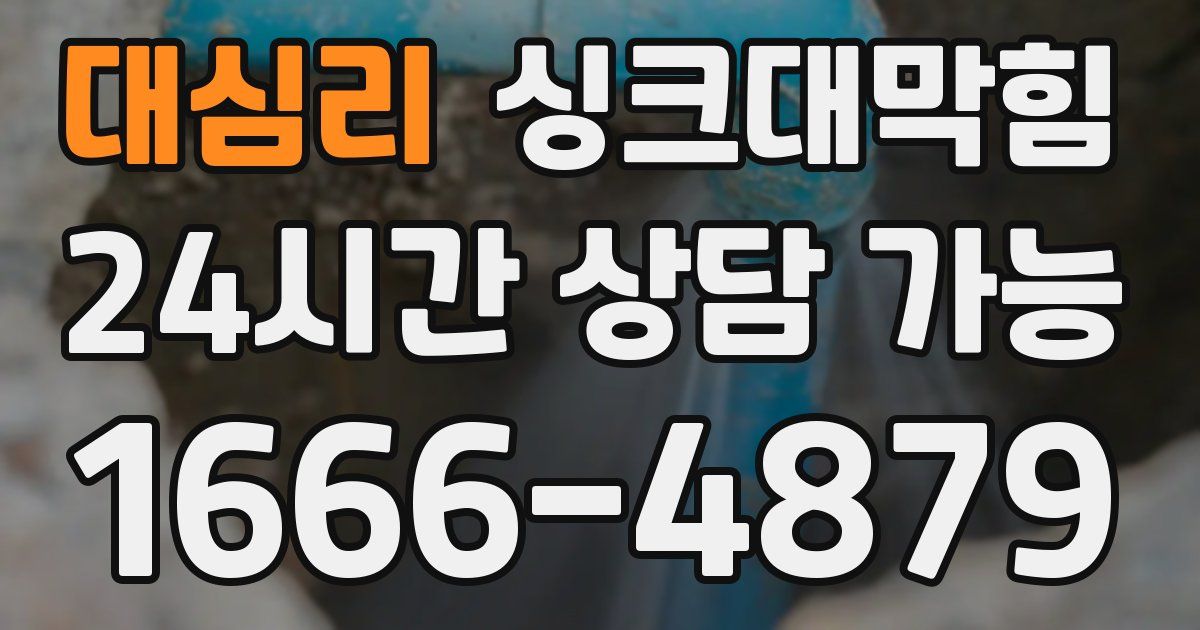 대심리 싱크대 뚫기