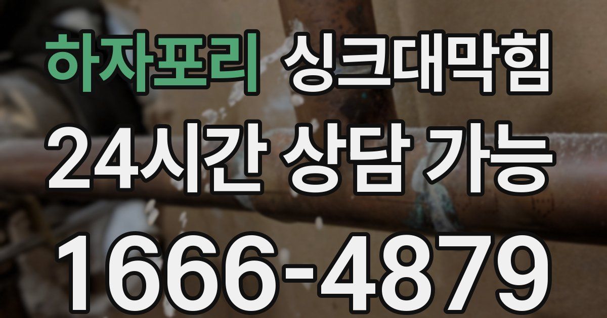 하자포리 싱크대 뚫기