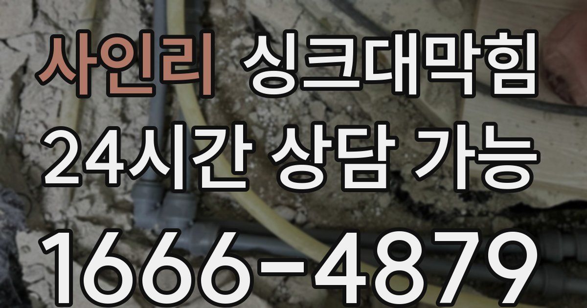 사인리 싱크대 뚫기