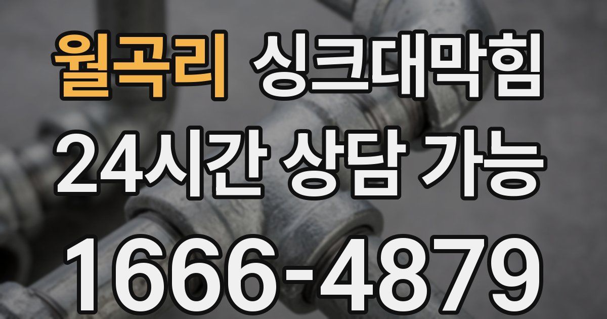 월곡리 싱크대 뚫기