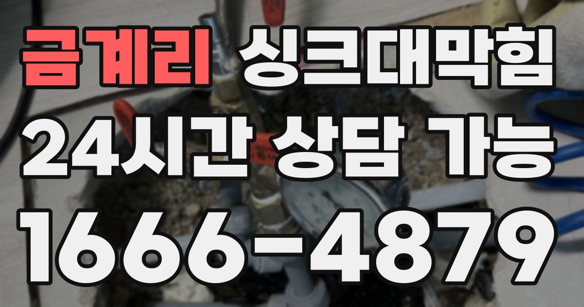 금계리 싱크대 뚫기