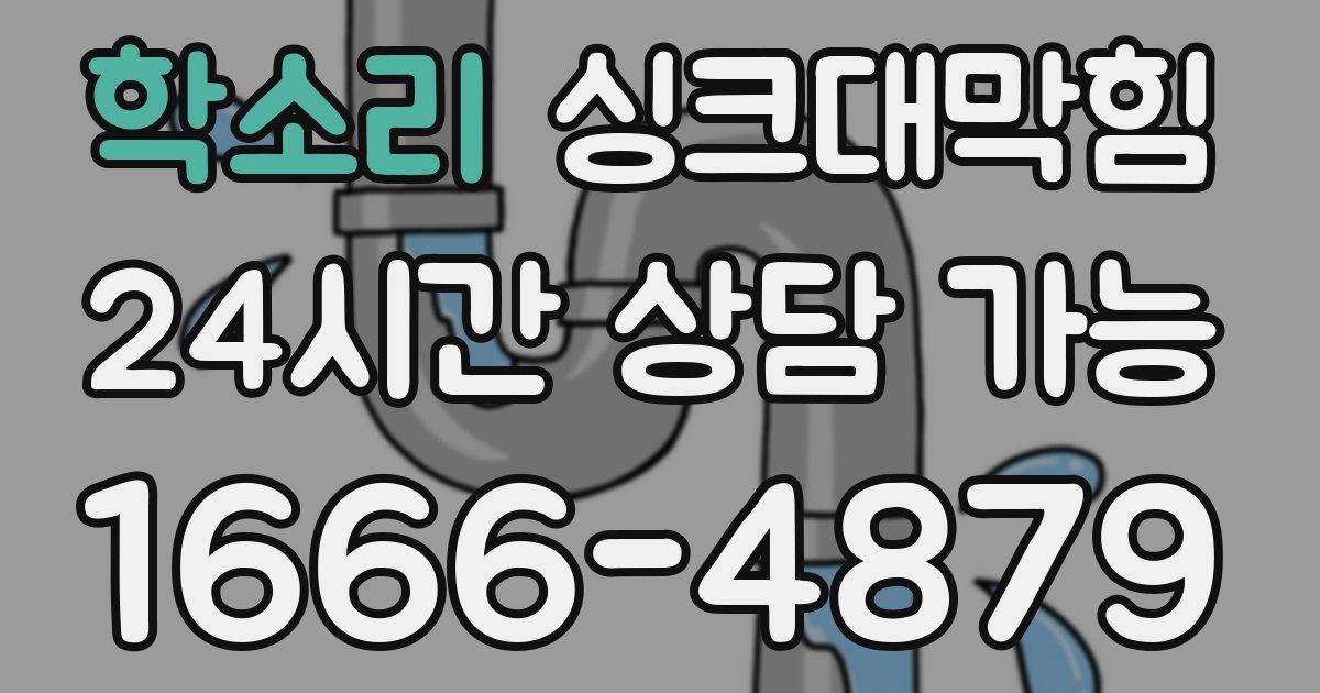 학소리 싱크대 뚫기