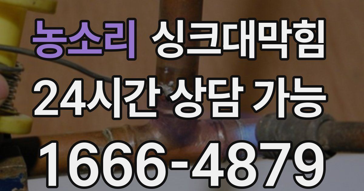 농소리 싱크대 뚫기