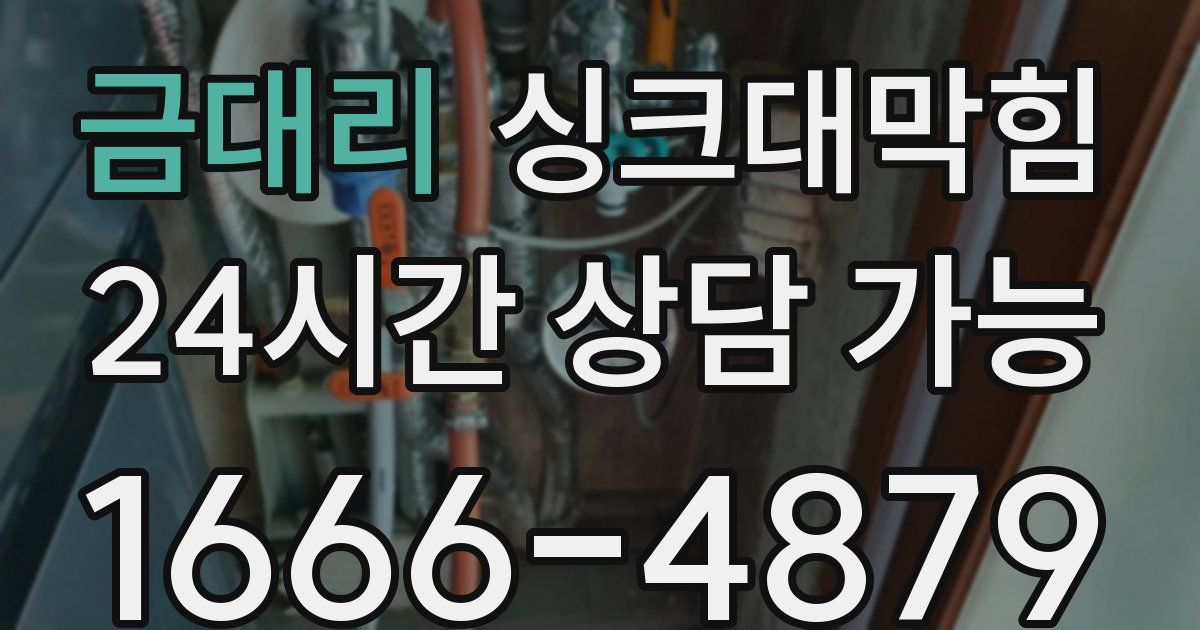 금대리 싱크대 뚫기